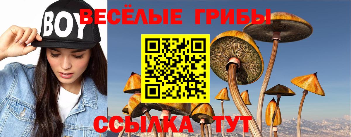наркотики  Вход с VPN  Псилоцибиновые грибы мухоморы  Тобольск  Псилоцибиновые грибы ЛСД 